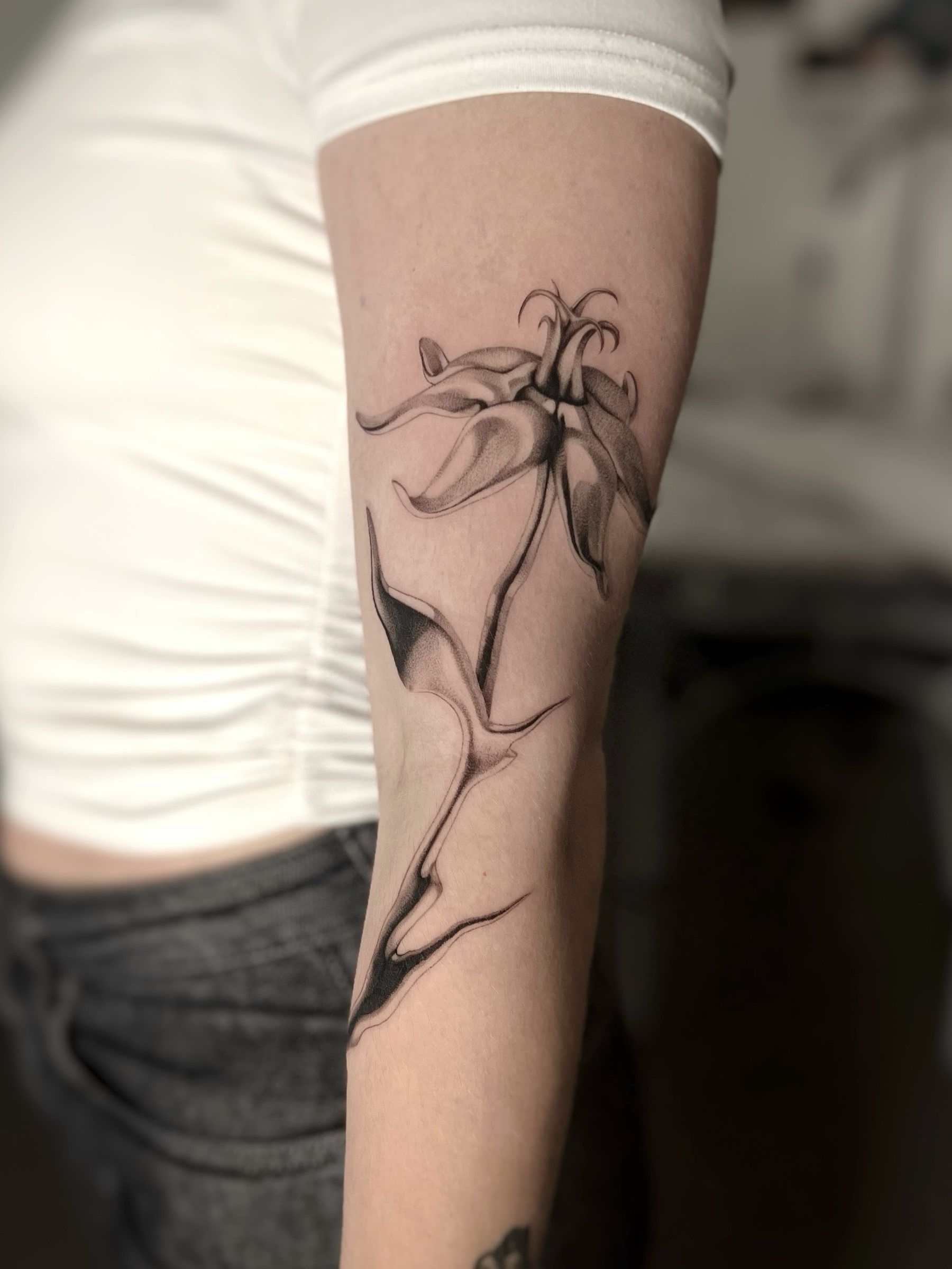 Orchid, forearm