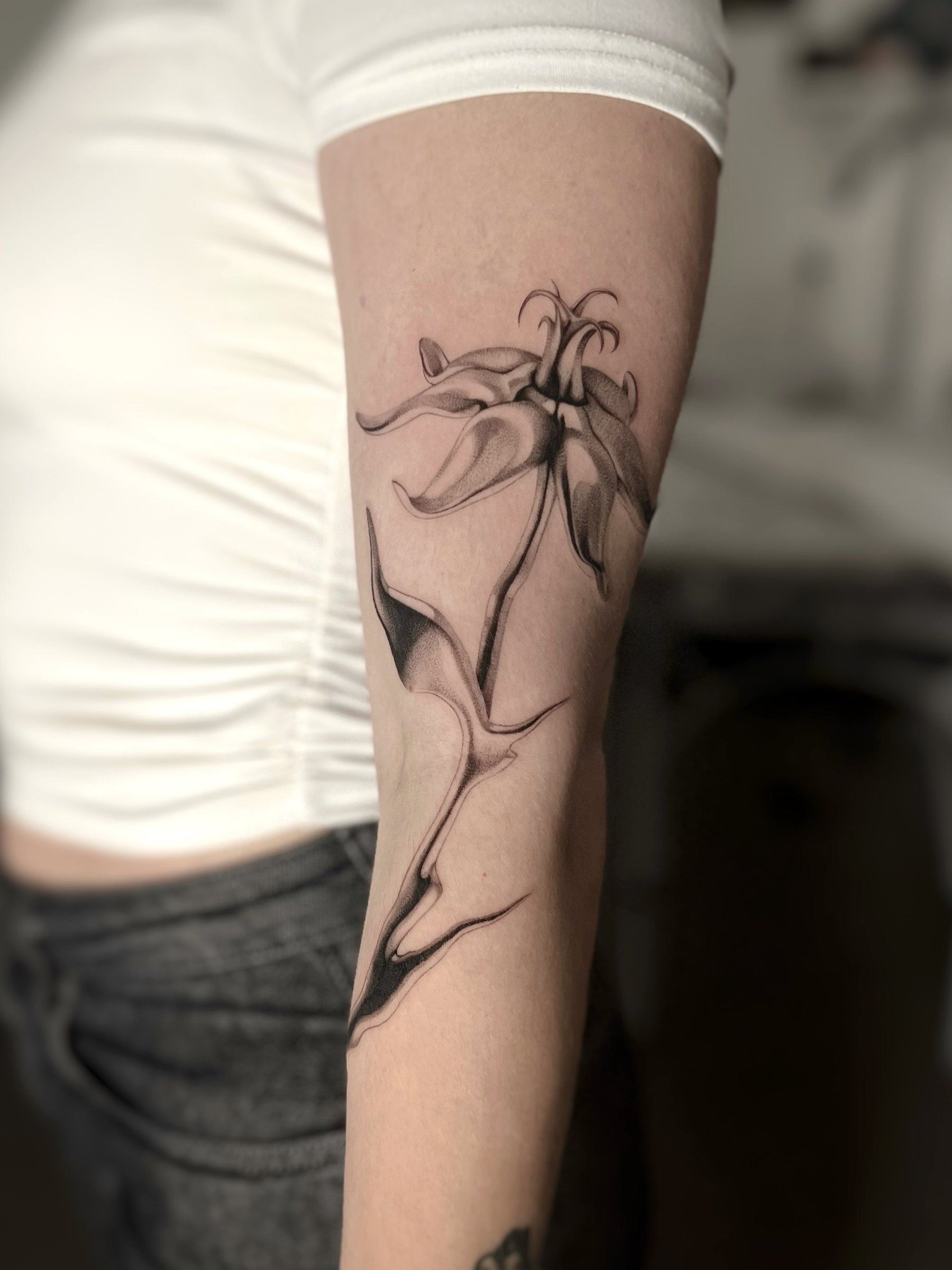Orchid, forearm